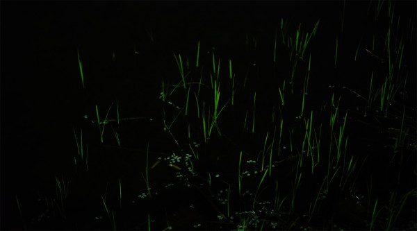 17_How Many Nights_Still_04