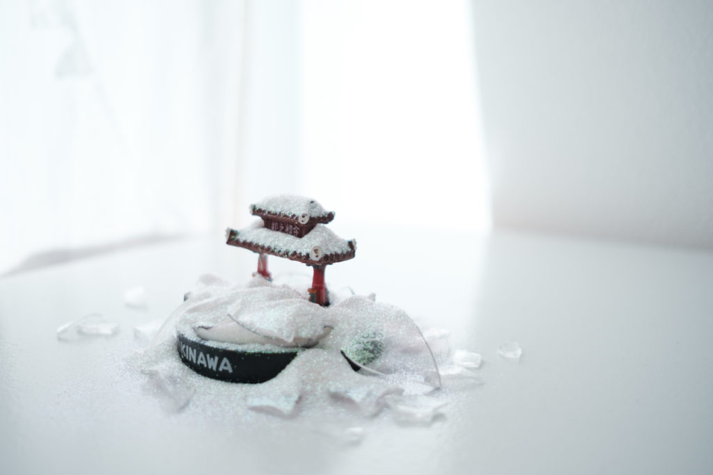 Winter (in Okinawa)